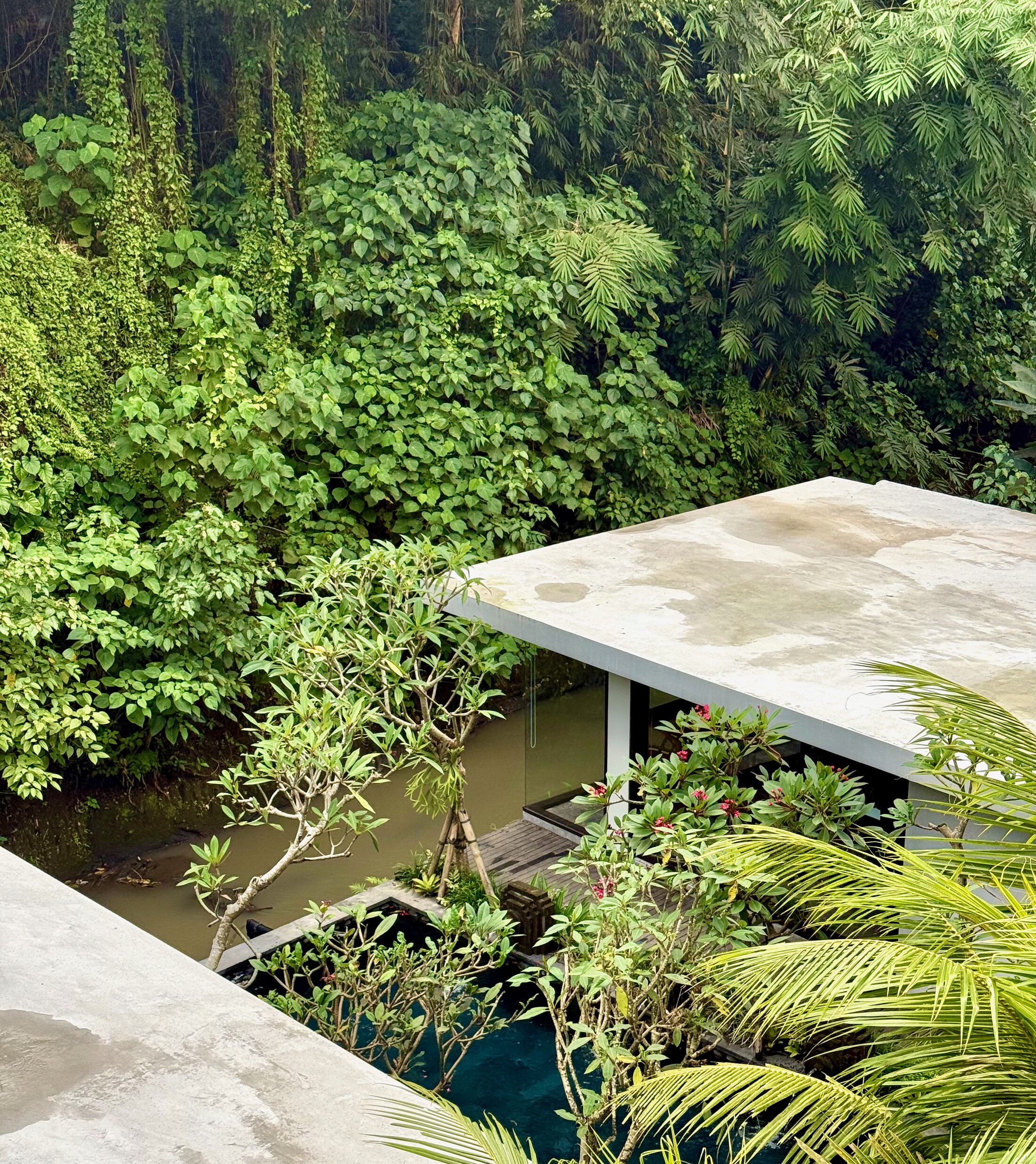 View on a resort in the jungle of Ubud