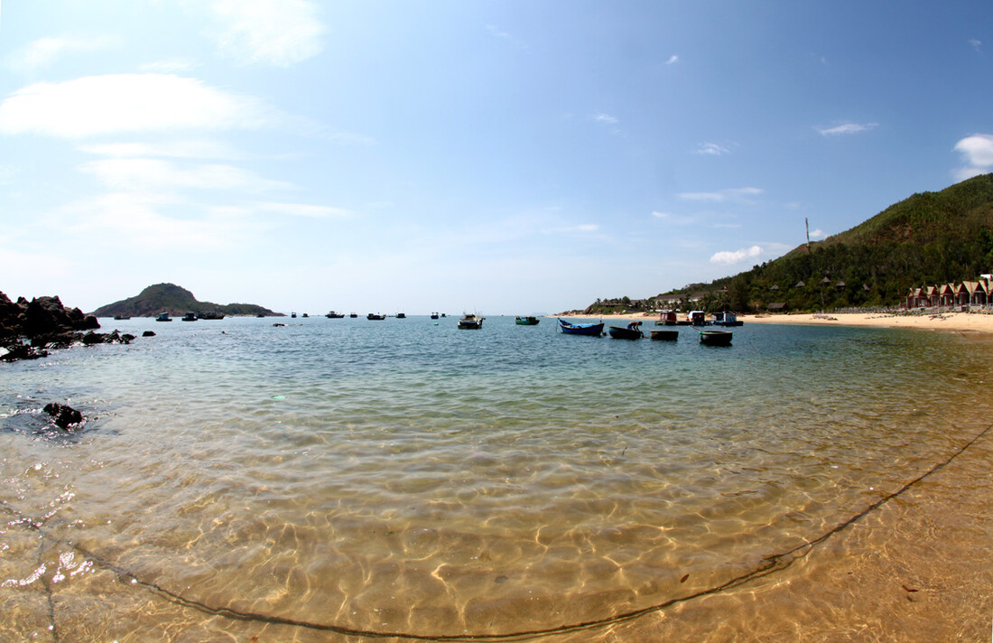 The beach with some boats