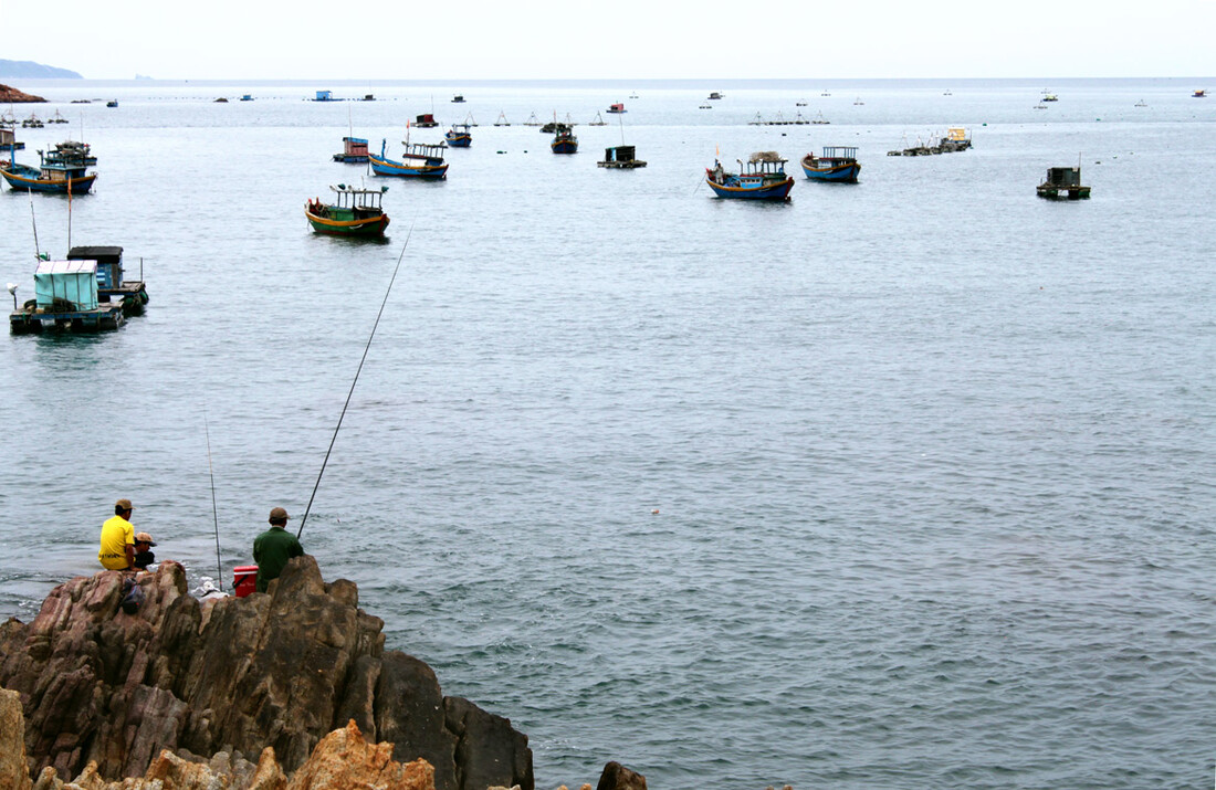Some fishermen fishing with a lot of boats in the background