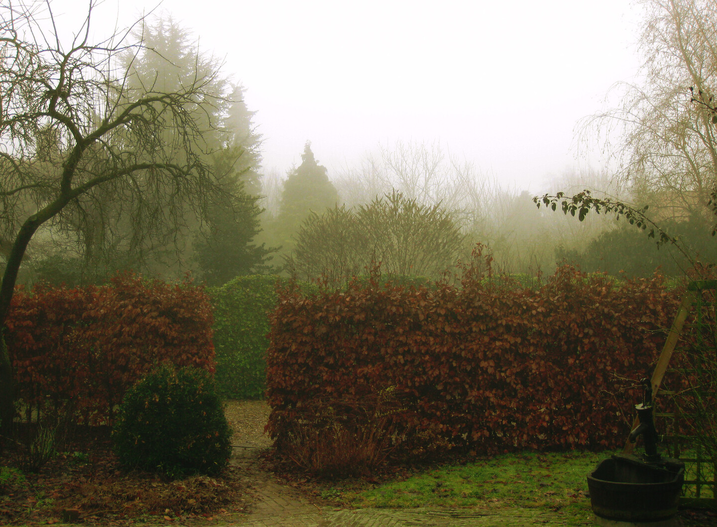 Mist