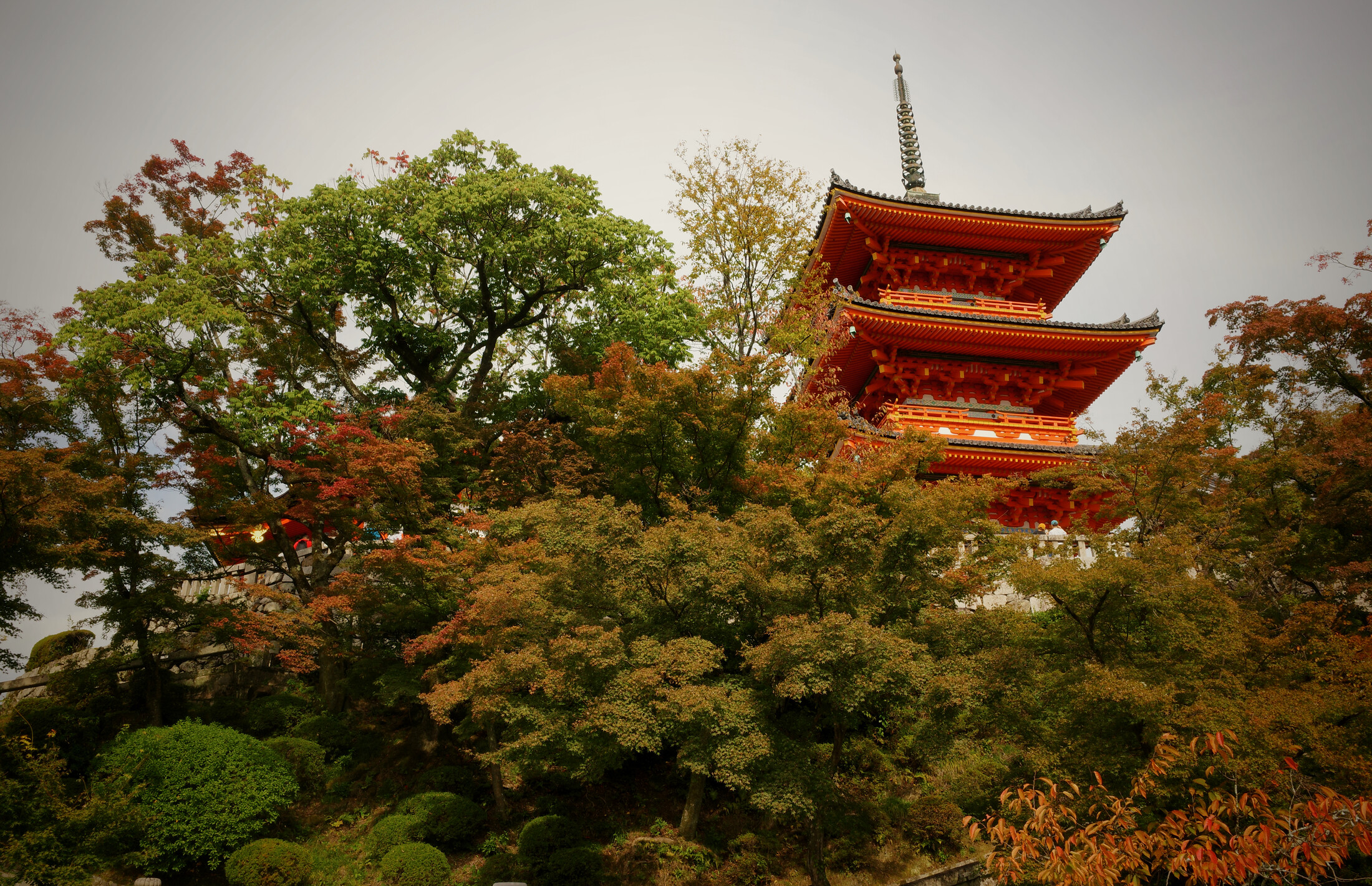 Kiyomizu-dera pagoda in autum