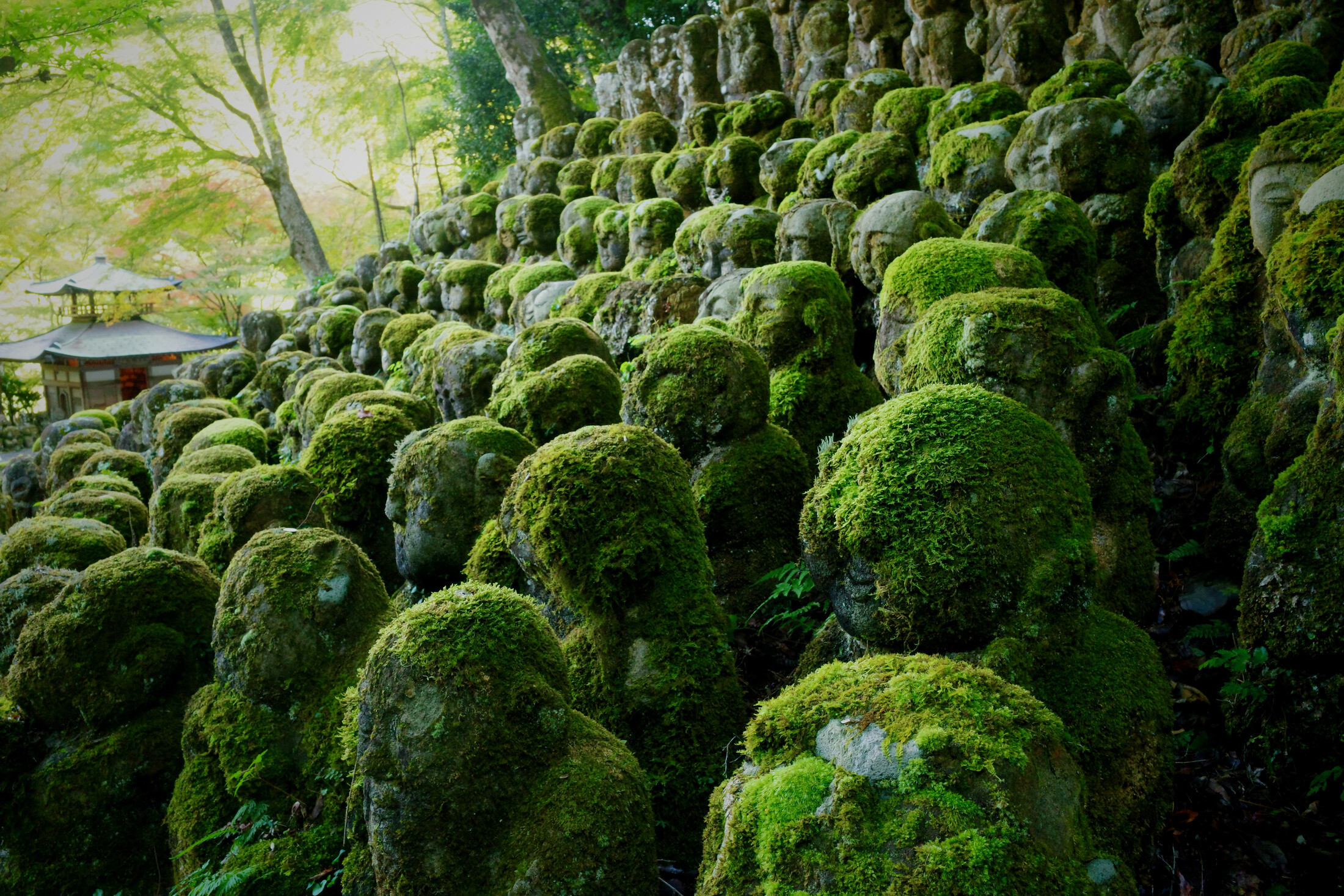 Stone figures at Otagi Nenbutsu-ji Temple