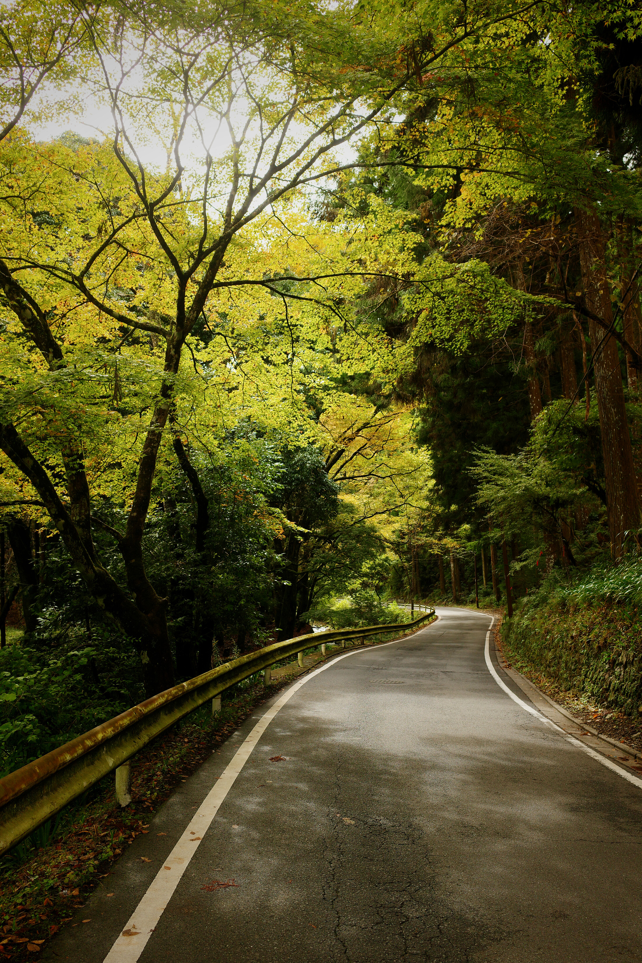 Road from the temple in autumn