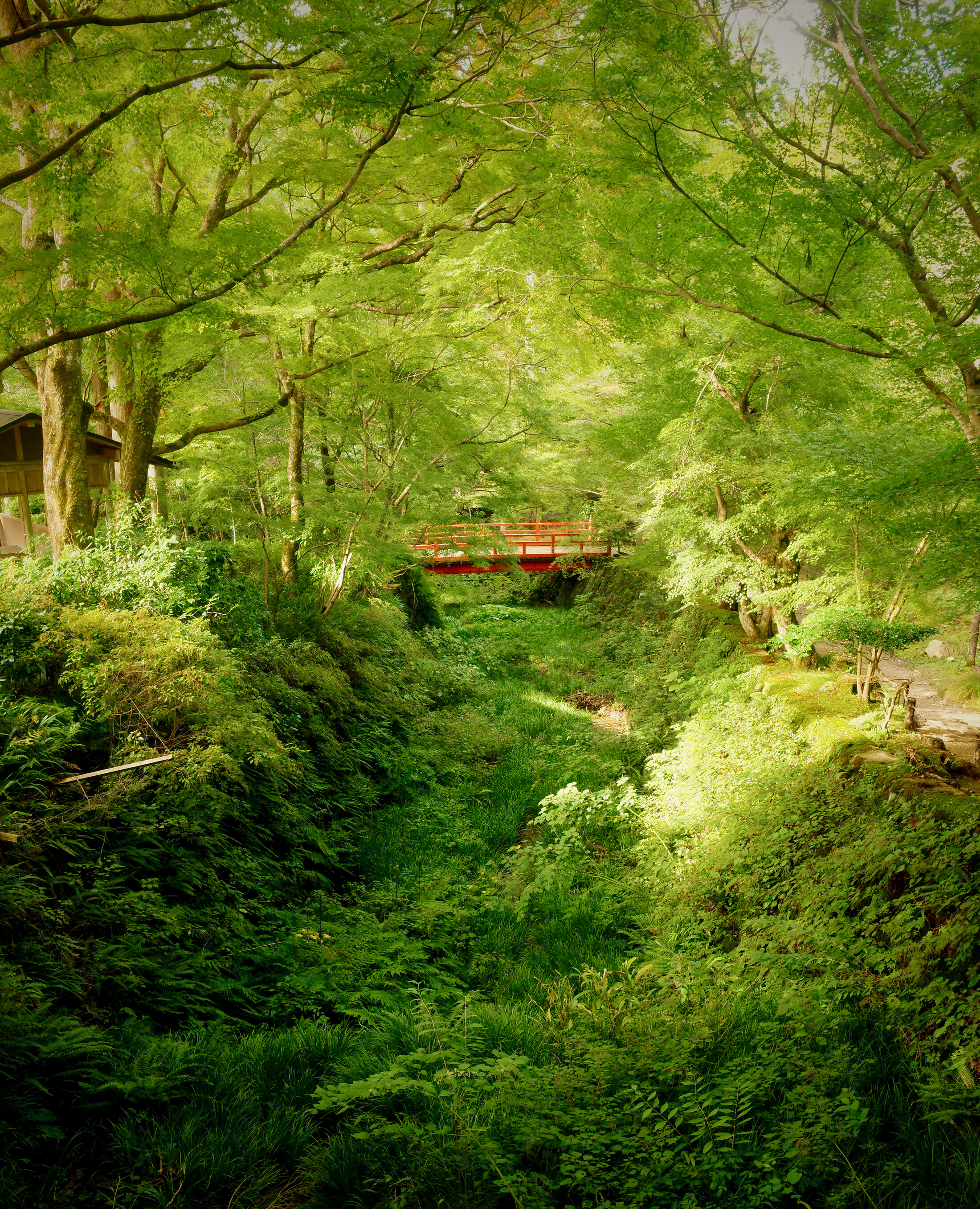 Red bridge in Sanzen-in Temple