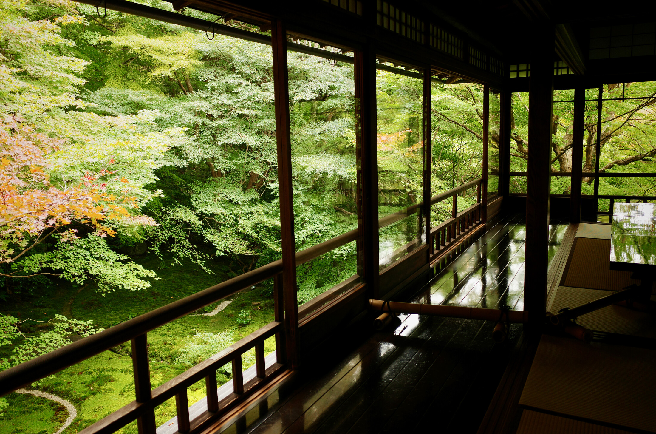 From the japanese temple Rurikō-in looking at a zen garden