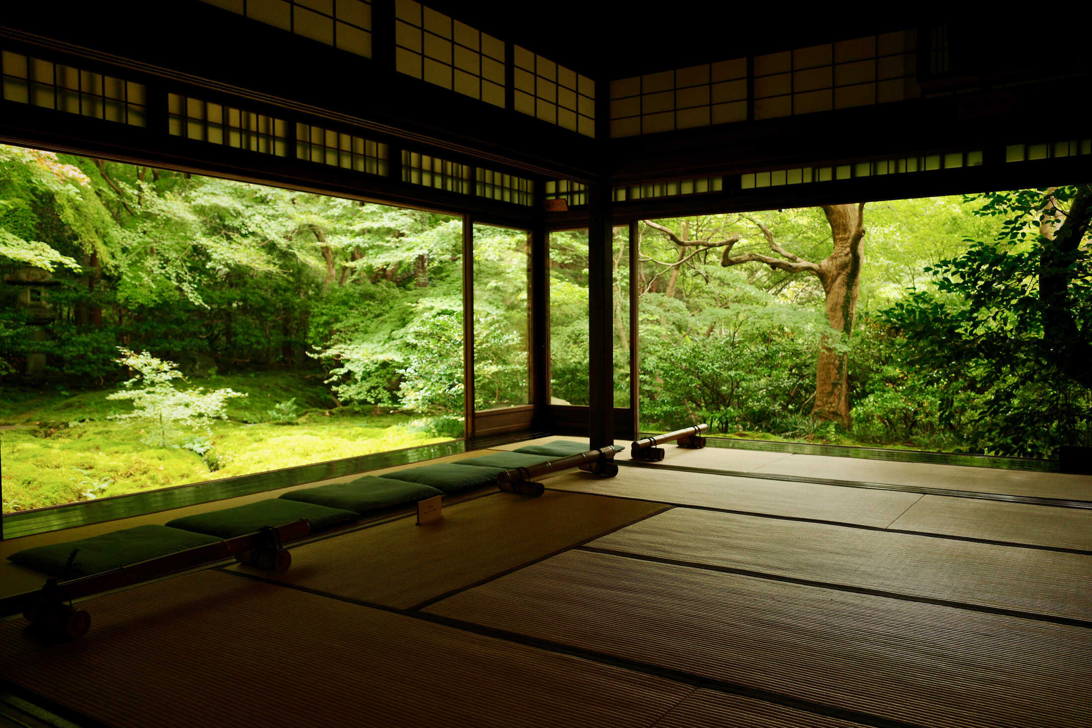 From the japanese temple Rurikō-in looking at a zen garden