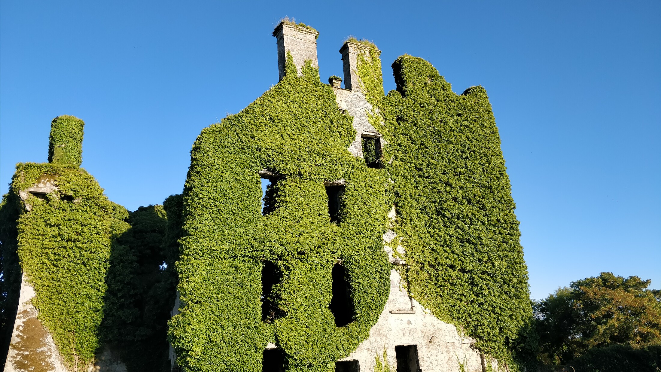 Menlo's castle