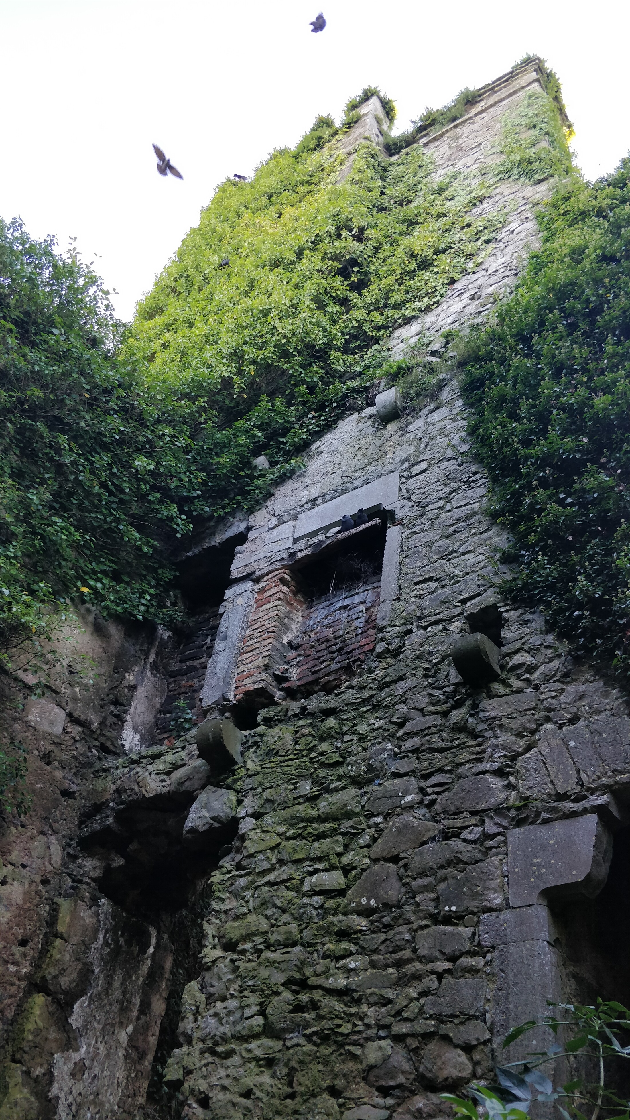 Inside the castle