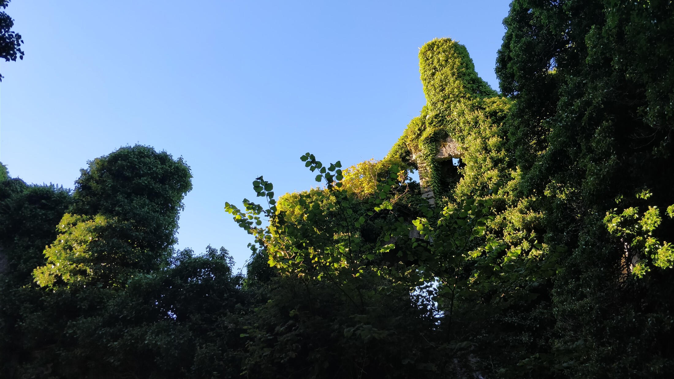 Inside the castle