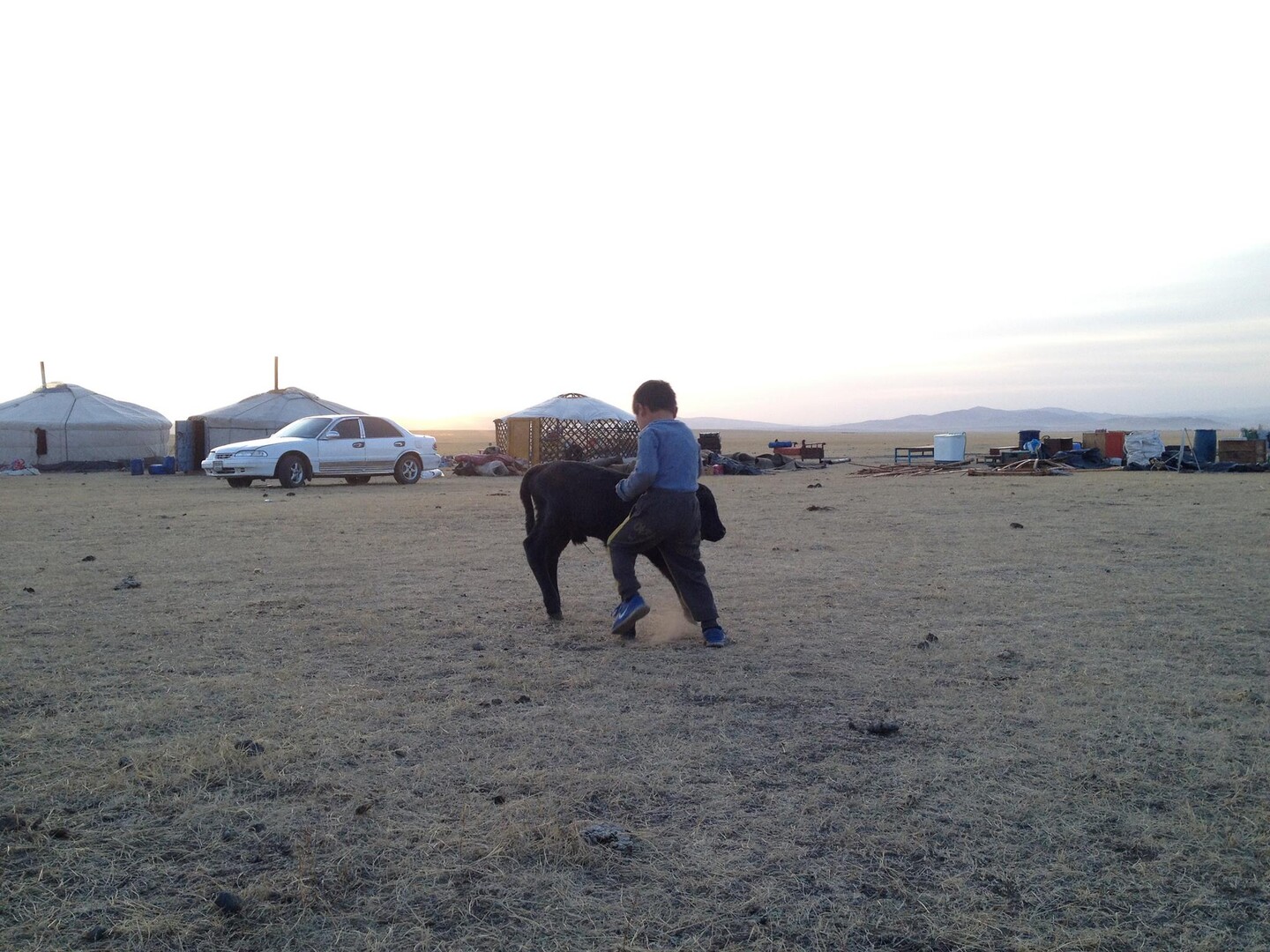 Mongolian kid playing with goat