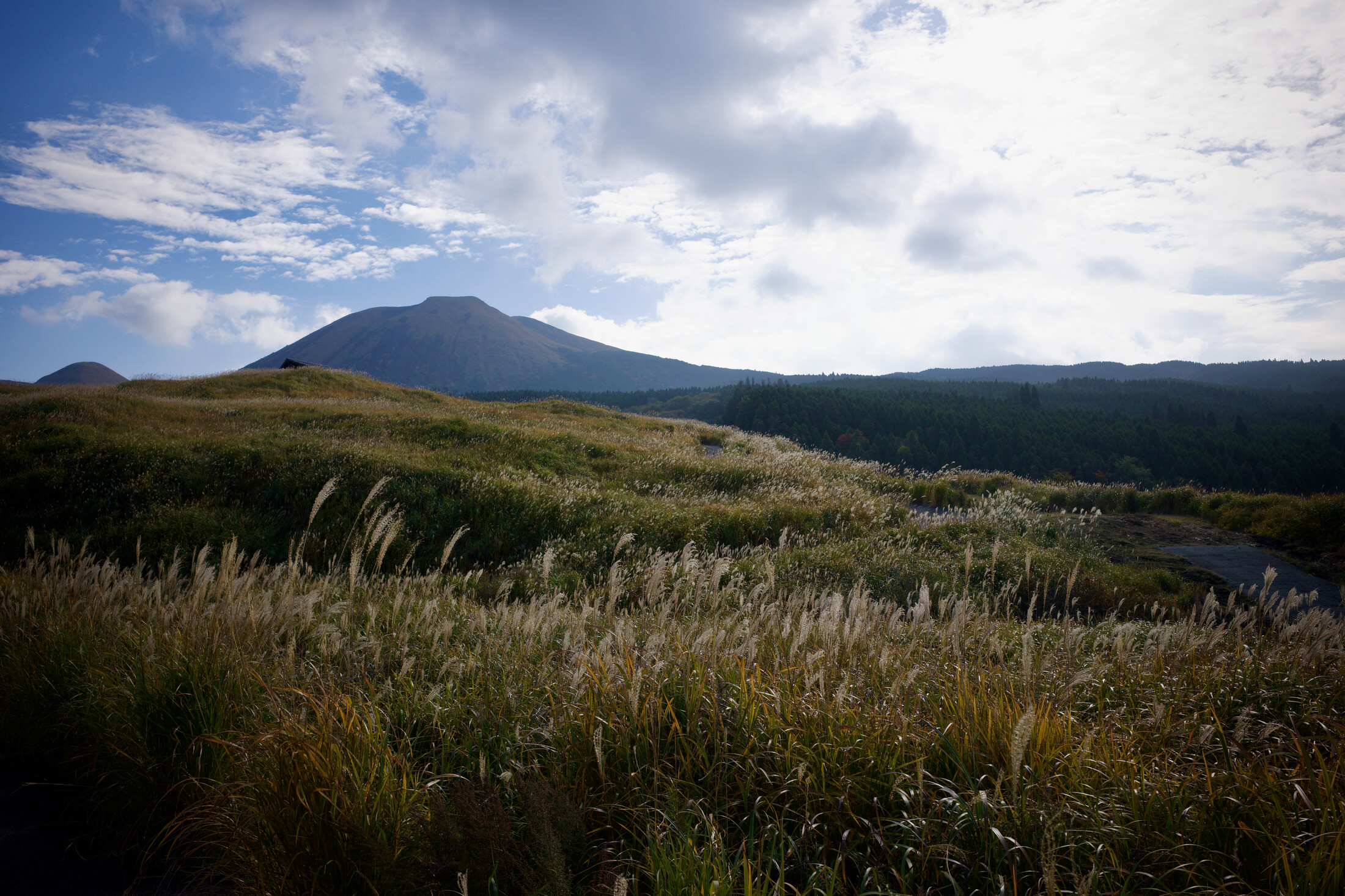 landscape in the direction of the sun