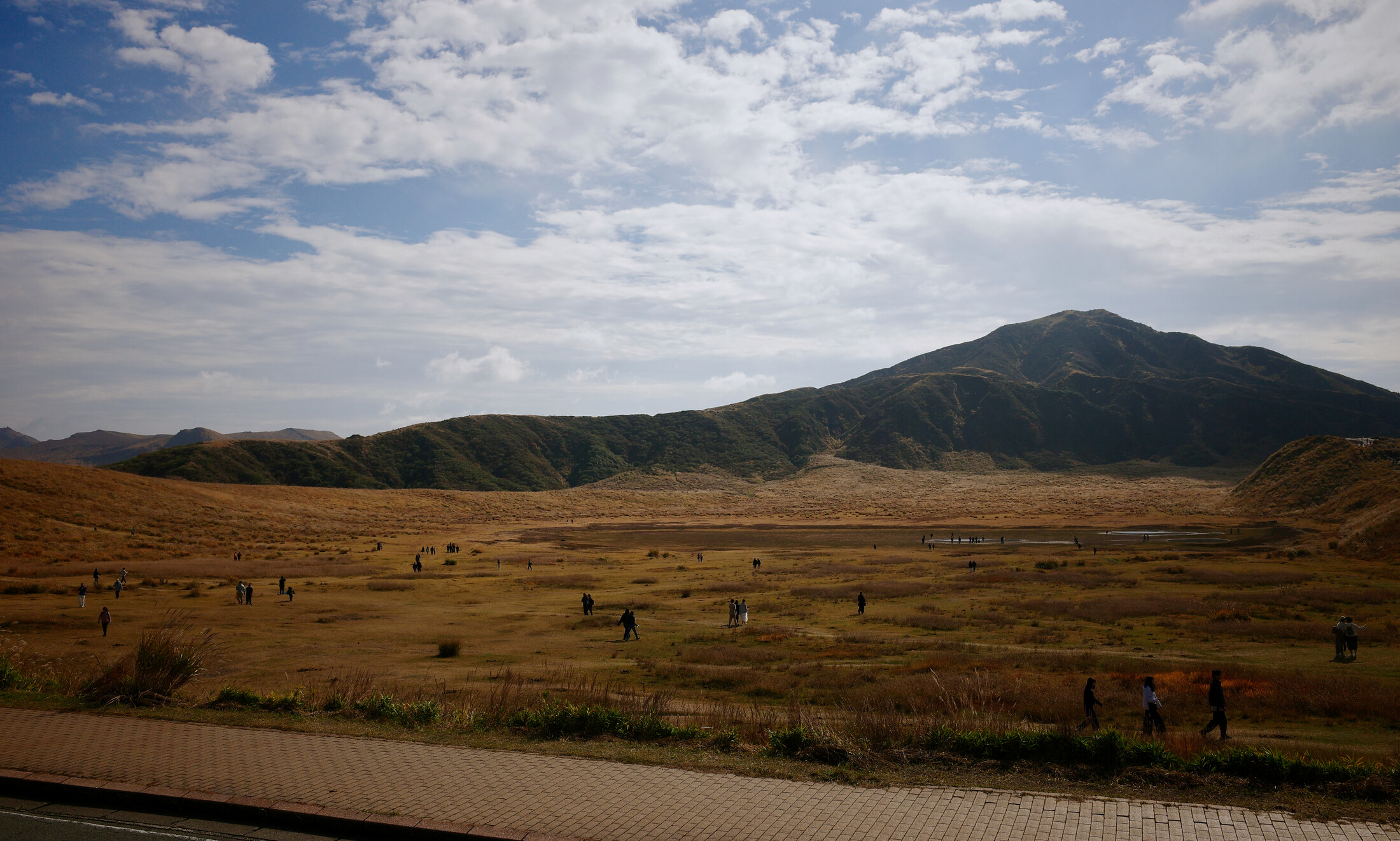 flat land near the start of the hike trail