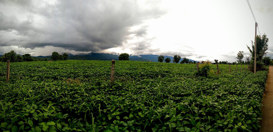 View over the Pai Valley