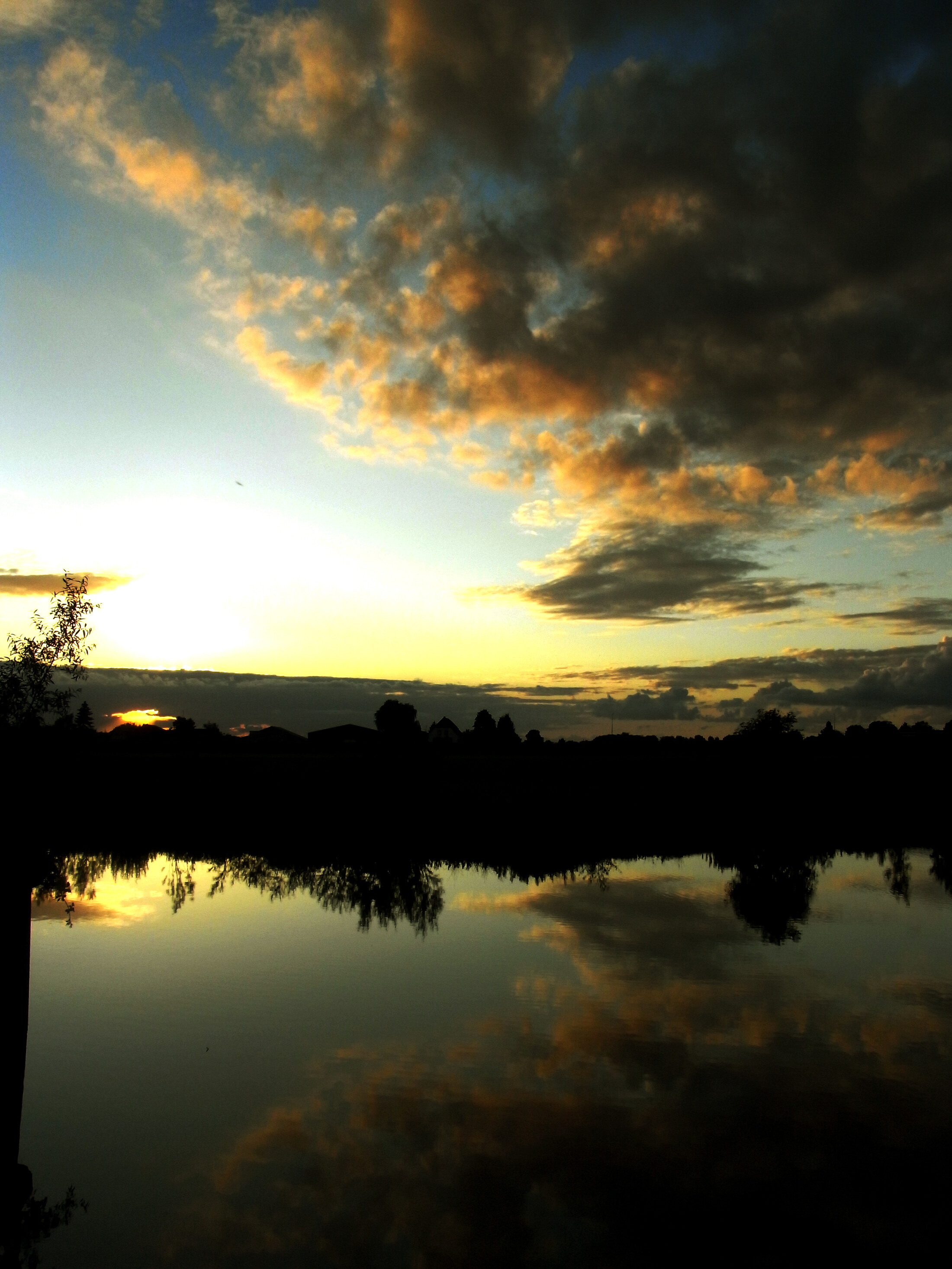 Silhoutte Reinvallei
