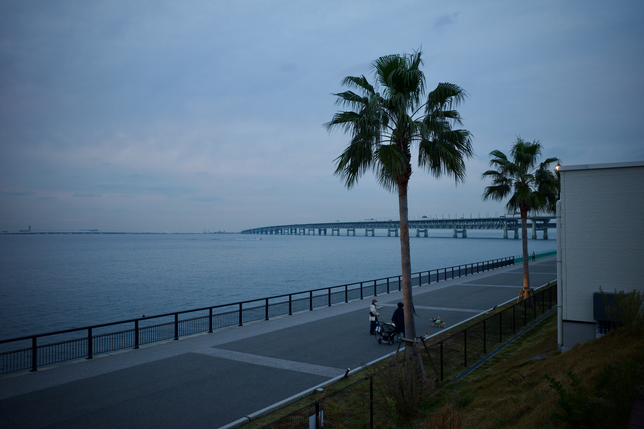 Locals walking their dog