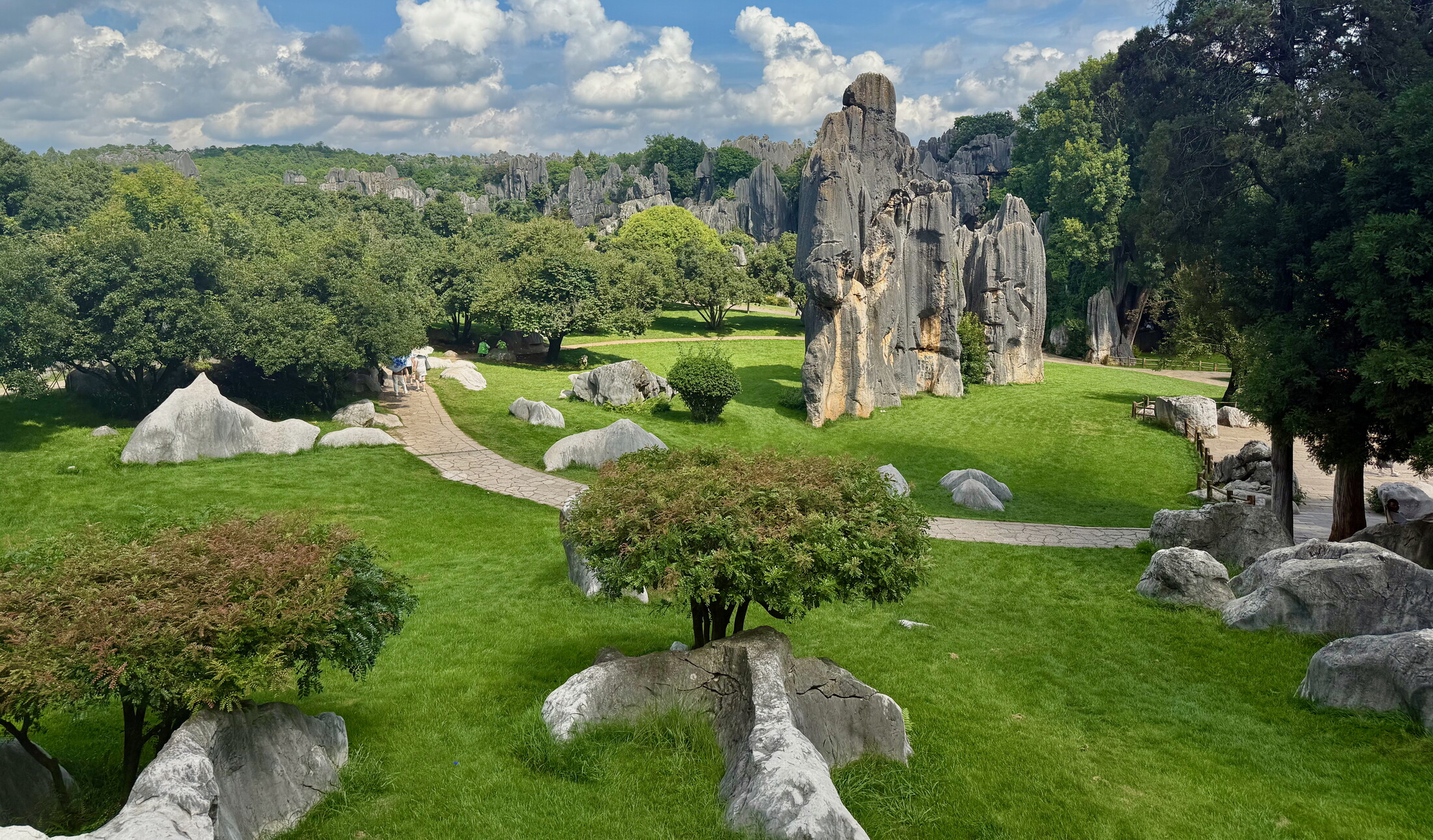 Stone forest